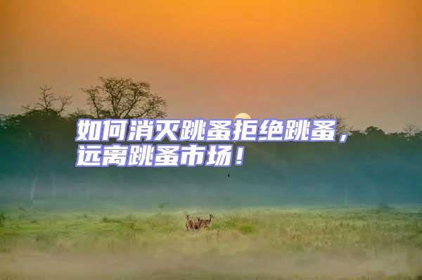 如何消滅跳蚤拒絕跳蚤，遠離跳蚤市場！