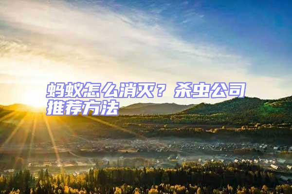 螞蟻怎么消滅？殺蟲公司推薦方法