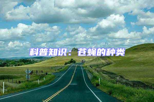 科普知識(shí)：蒼蠅的種類