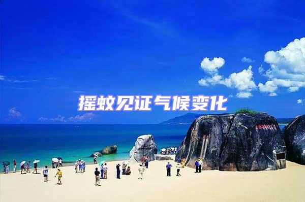 搖蚊見證氣候變化