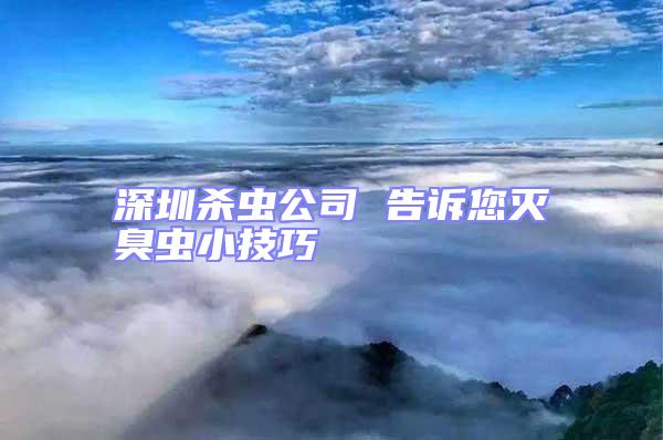 深圳殺蟲公司 告訴您滅臭蟲小技巧