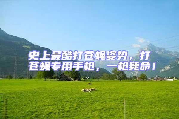 史上最酷打蒼蠅姿勢，打蒼蠅專用手槍，一槍斃命！