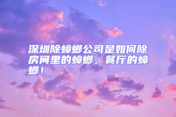 深圳除蟑螂公司是如何除房間里的蟑螂，餐廳的蟑螂！