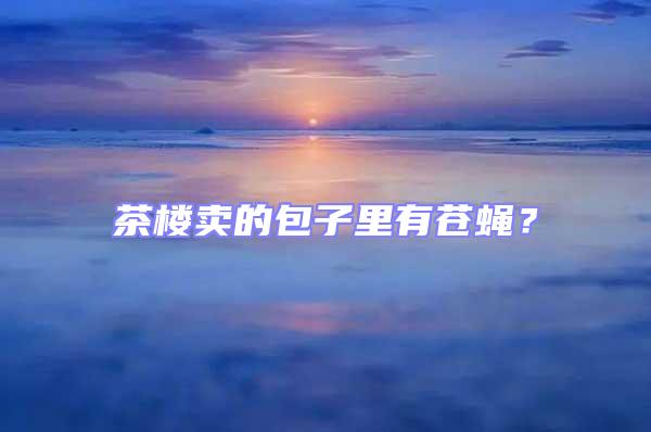 茶樓賣的包子里有蒼蠅？