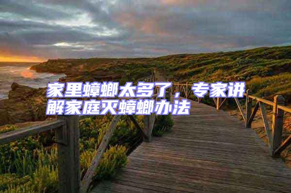家里蟑螂太多了，專家講解家庭滅蟑螂辦法