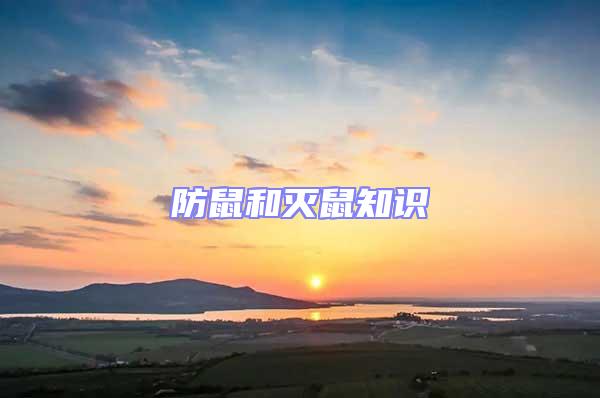 防鼠和滅鼠知識