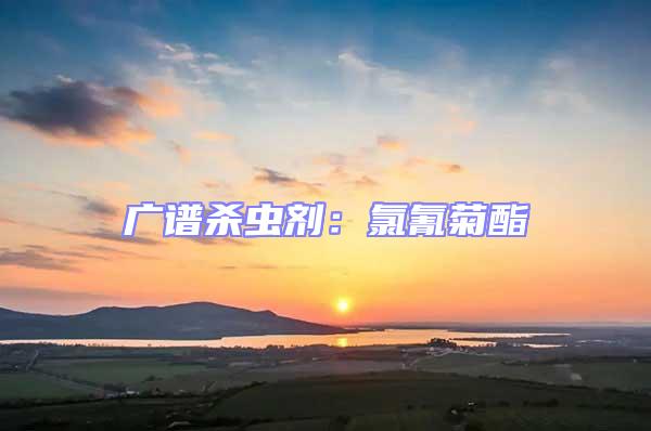 廣譜殺蟲(chóng)劑：氯氰菊酯