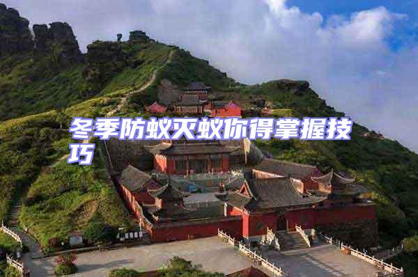 冬季防蟻滅蟻你得掌握技巧