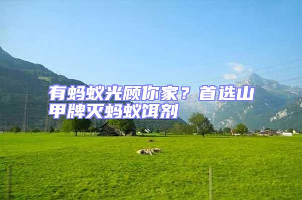 有螞蟻光顧你家？首選山甲牌滅螞蟻餌劑