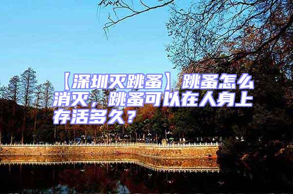 【深圳滅跳蚤】跳蚤怎么消滅，跳蚤可以在人身上存活多久？