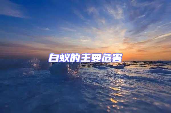 白蟻的主要危害