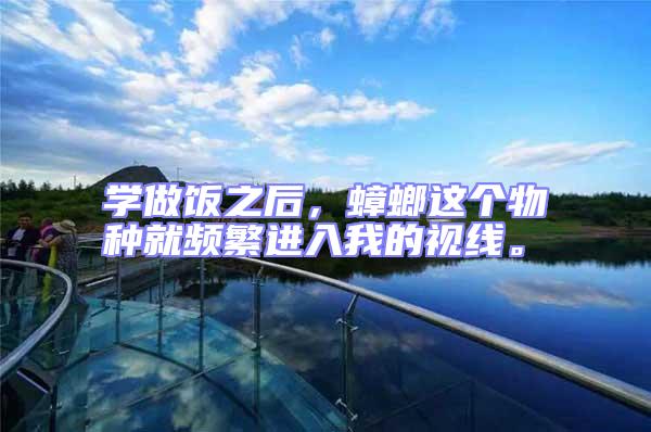 學(xué)做飯之后，蟑螂這個物種就頻繁進入我的視線。
