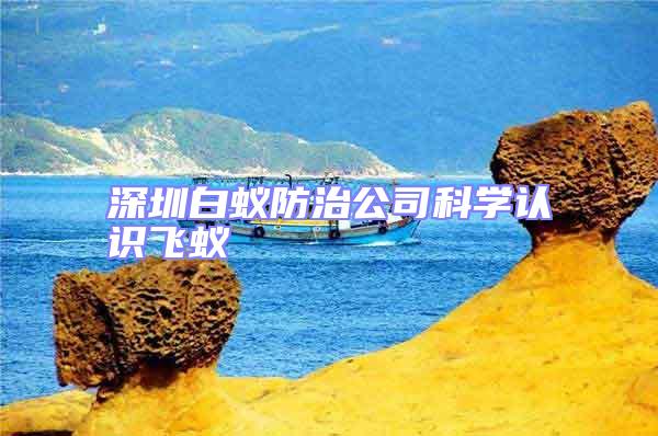 深圳白蟻防治公司科學認識飛蟻