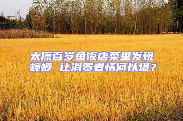 太原百歲魚飯店菜里發(fā)現(xiàn)蟑螂 讓消費者情何以堪？