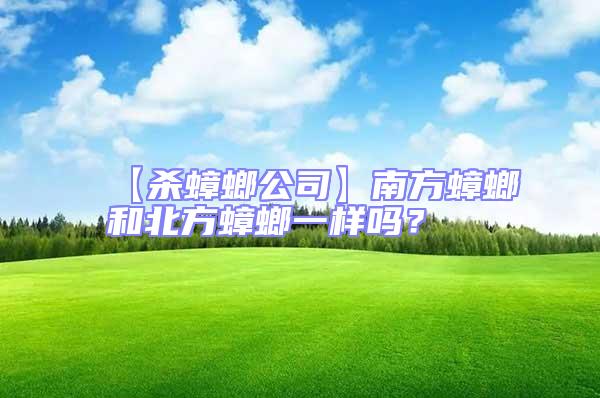【殺蟑螂公司】南方蟑螂和北方蟑螂一樣嗎？