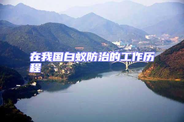 在我國白蟻防治的工作歷程