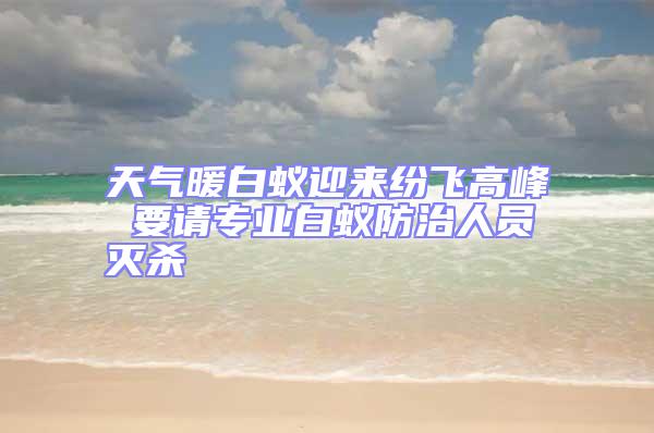 天氣暖白蟻迎來紛飛高峰 要請專業白蟻防治人員滅殺