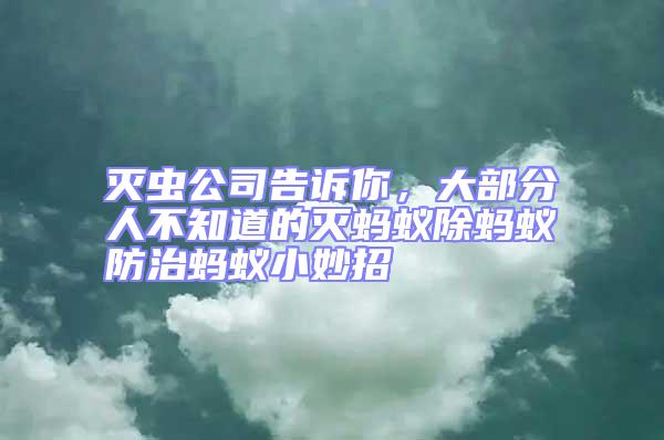 滅蟲公司告訴你，大部分人不知道的滅螞蟻除螞蟻防治螞蟻小妙招