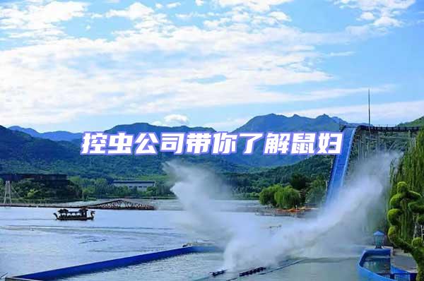 控蟲公司帶你了解鼠婦