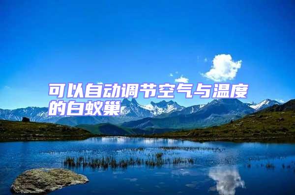 可以自動調節空氣與溫度的白蟻巢