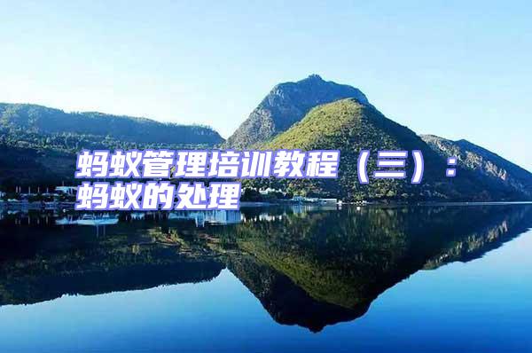 螞蟻管理培訓教程（三）：螞蟻的處理