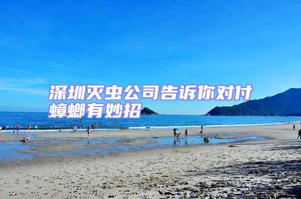 深圳滅蟲公司告訴你對付蟑螂有妙招