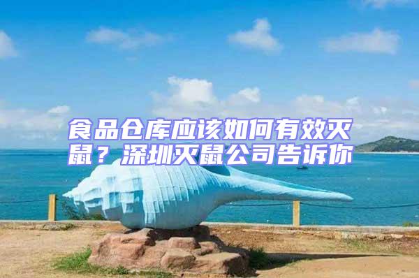 食品倉庫應該如何有效滅鼠？深圳滅鼠公司告訴你