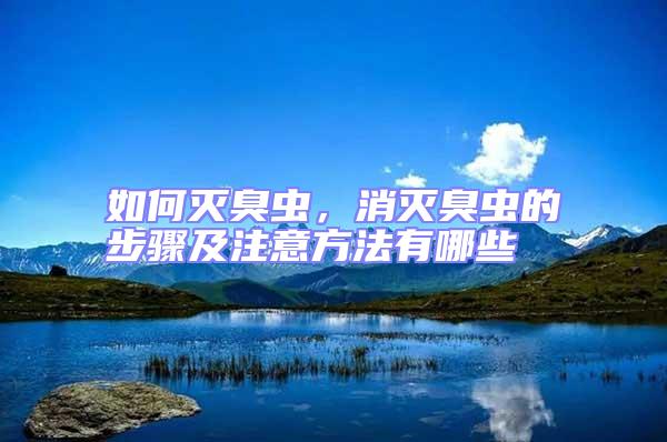 如何滅臭蟲，消滅臭蟲的步驟及注意方法有哪些