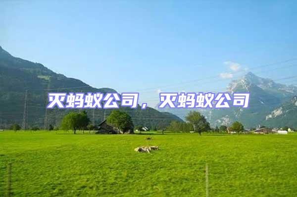 滅螞蟻公司，滅螞蟻公司