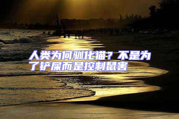人類為何馴化貓？不是為了鏟屎而是控制鼠害