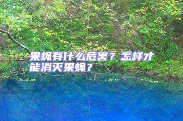 果蠅有什么危害？怎樣才能消滅果蠅？