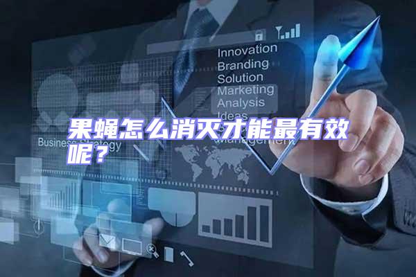 果蠅怎么消滅才能最有效呢？