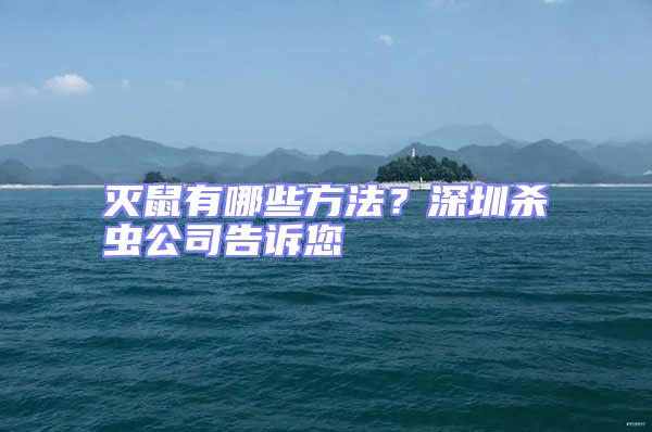 滅鼠有哪些方法？深圳殺蟲公司告訴您