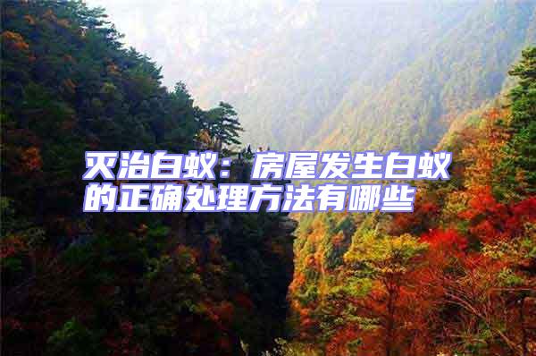 滅治白蟻：房屋發(fā)生白蟻的正確處理方法有哪些