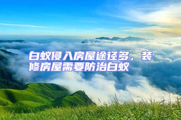 白蟻侵入房屋途徑多，裝修房屋需要防治白蟻