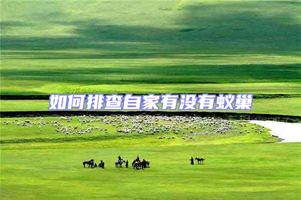 如何排查自家有沒有蟻巢
