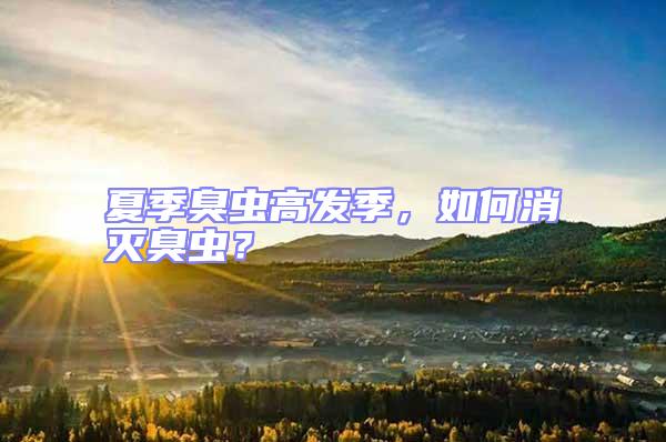 夏季臭蟲高發(fā)季，如何消滅臭蟲？