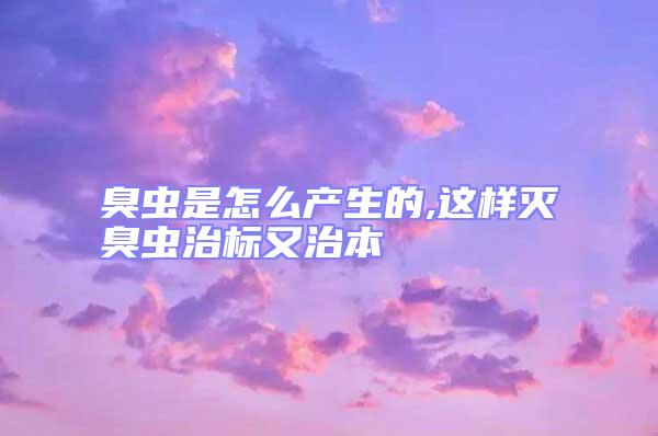 臭蟲是怎么產生的,這樣滅臭蟲治標又治本