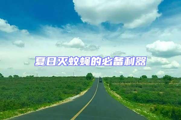 夏日滅蚊蠅的必備利器