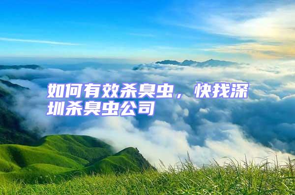 如何有效殺臭蟲，快找深圳殺臭蟲公司