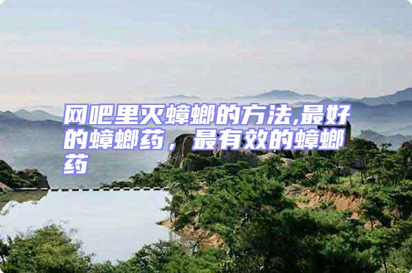 網吧里滅蟑螂的方法,最好的蟑螂藥，最有效的蟑螂藥