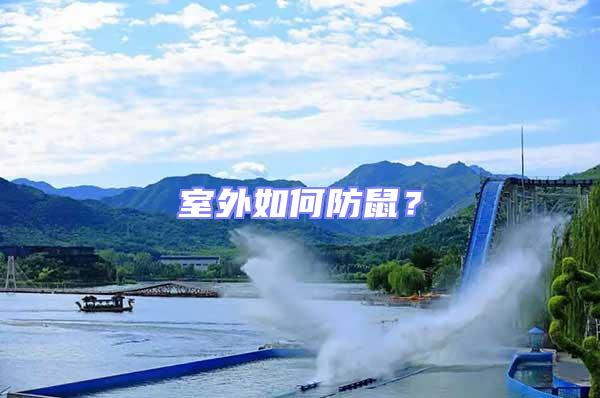 室外如何防鼠？