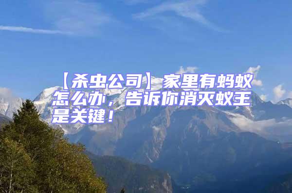 【殺蟲公司】家里有螞蟻怎么辦，告訴你消滅蟻王是關(guān)鍵！