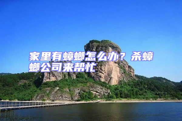 家里有蟑螂怎么辦？殺蟑螂公司來幫忙