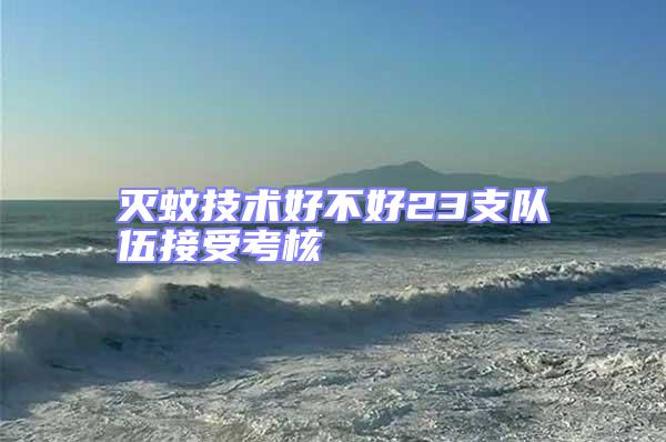 滅蚊技術(shù)好不好23支隊伍接受考核