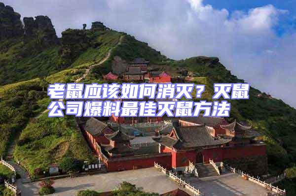 老鼠應該如何消滅？滅鼠公司爆料最佳滅鼠方法
