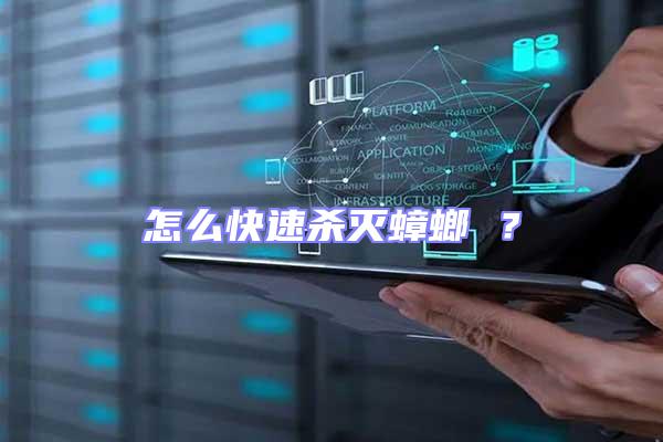怎么快速殺滅蟑螂 ？