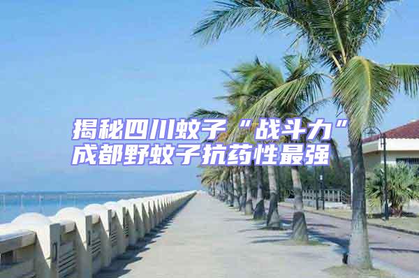 揭秘四川蚊子“戰斗力”成都野蚊子抗藥性最強