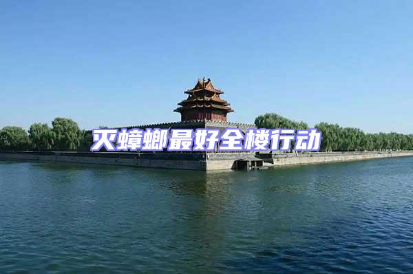 滅蟑螂最好全樓行動
