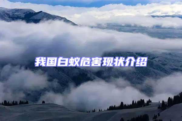 我國白蟻危害現狀介紹